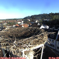 08_25-nest.jpg