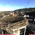 08_30-nest.jpg