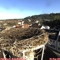 08_35-nest.jpg