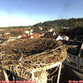 08_40-nest.jpg