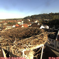 08_45-nest.jpg
