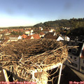 08_55-nest.jpg