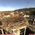 09_30-nest.jpg