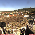 09_55-nest.jpg