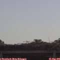 10_05-mast.jpg