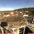 10_05-nest.jpg