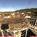 10_10-nest.jpg