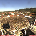 10_20-nest.jpg