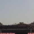 10_30-mast.jpg