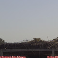 10_50-mast.jpg