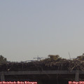10_55-mast.jpg