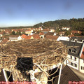 10_55-nest.jpg