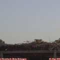 11_00-mast.jpg