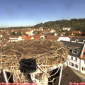 11_05-nest.jpg