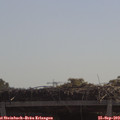 11_10-mast.jpg