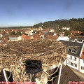 11_25-nest.jpg