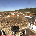 11_35-nest.jpg