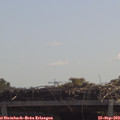 11_40-mast.jpg