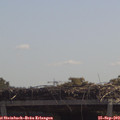 11_50-mast.jpg