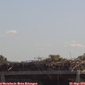 11_55-mast.jpg