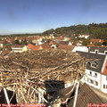 11_55-nest.jpg