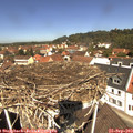 12_00-nest.jpg