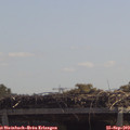 12_05-mast.jpg