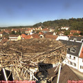 12_05-nest.jpg