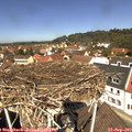 12_10-nest.jpg