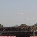 12_15-mast.jpg