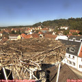 12_15-nest.jpg
