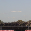 12_20-mast.jpg