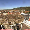 12_20-nest.jpg