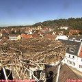 12_25-nest.jpg