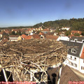 12_30-nest.jpg
