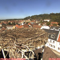 12_35-nest.jpg