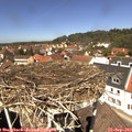12_40-nest.jpg