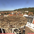 12_45-nest.jpg