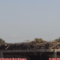 12_50-mast.jpg