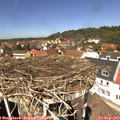 12_50-nest.jpg