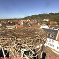 12_55-nest.jpg