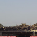 13_00-mast.jpg