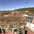 13_00-nest.jpg