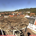 13_10-nest.jpg