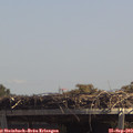 13_15-mast.jpg