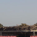 13_20-mast.jpg