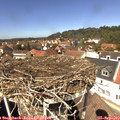 13_20-nest.jpg
