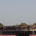 13_25-mast.jpg