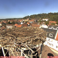 13_25-nest.jpg