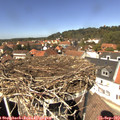 13_30-nest.jpg